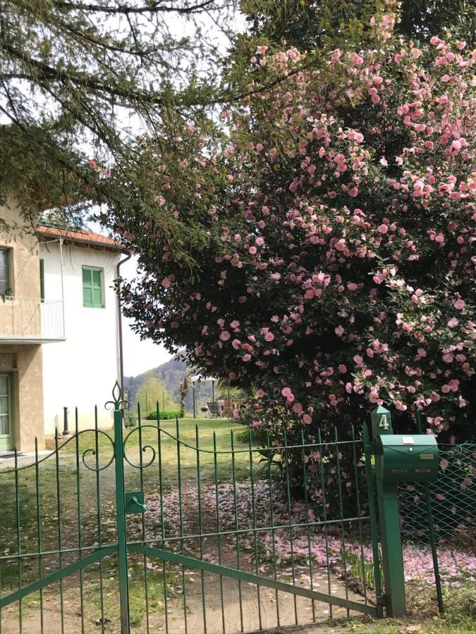 Appartamento La Camelia Ameno Exterior photo